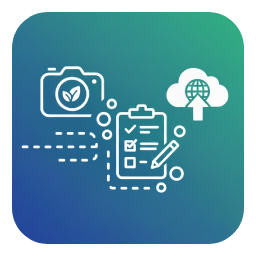 Automatically include photos and annotations from field inspections